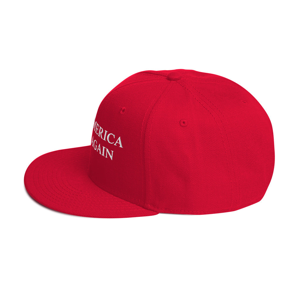 Make America Great Again Hat